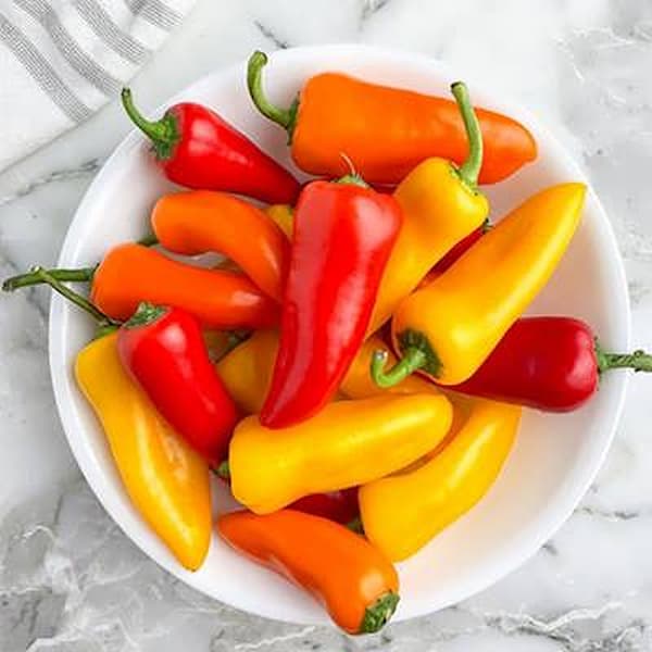 تصویر 3 از فروش فلفل دلمه ای قلمی + قیمت خرید به صرفه